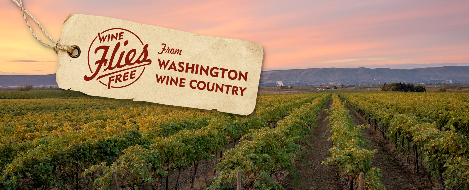 Wine Flies Free from Washington Wine Destinations